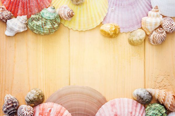 Aphiwat chuangchoem באתר PEXELS מאגר דוגמאות לק ג'ל לעונה החמה: לקיץ המושלם